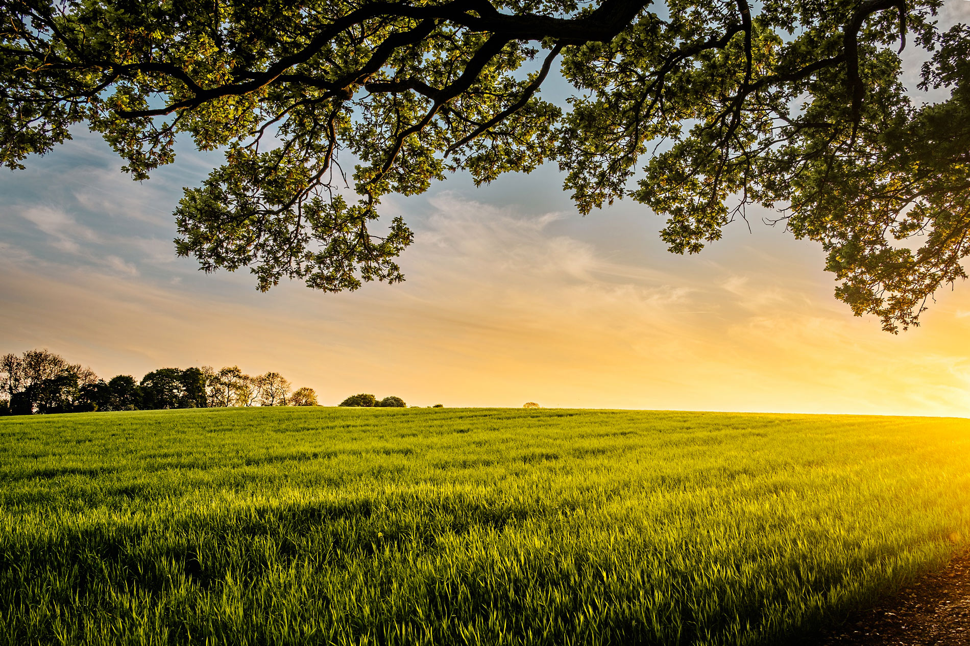 GREE – Les éoliennes mettent-elles nos paysages en périls ?